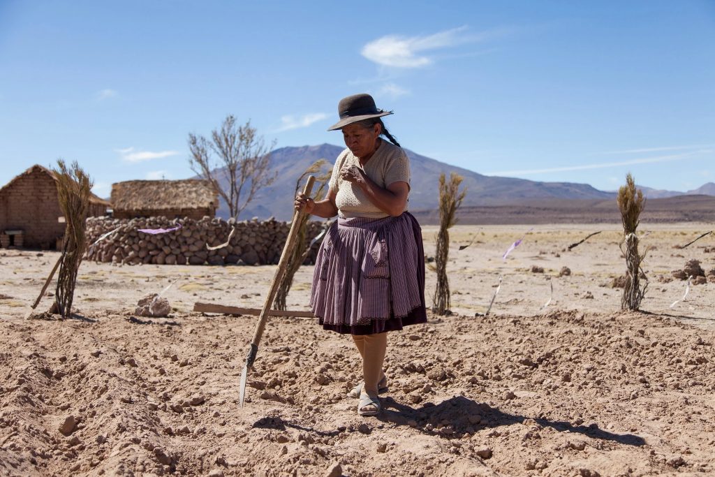 Landscape in Contemporary Latin American Cinema